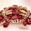 DST Gold Chain Greek Letter Necklace - Image 3
