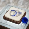 Zeta Phi Beta Circles Rhinestone Brooch - Image 4